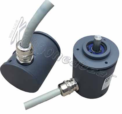 روتاری انکدر 2000 پالس از نوع BCD
